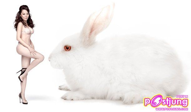 ต้อนรับปีกระต่ายกับกระต่ายสาวสุดเซ็กซี่ เพ็ญพักตร์ ศิริกุล @VOLUME 137 Jan.2011
