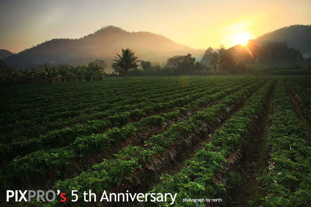 โลกนี้มีสิ่งสวยงามอีกเยอะ