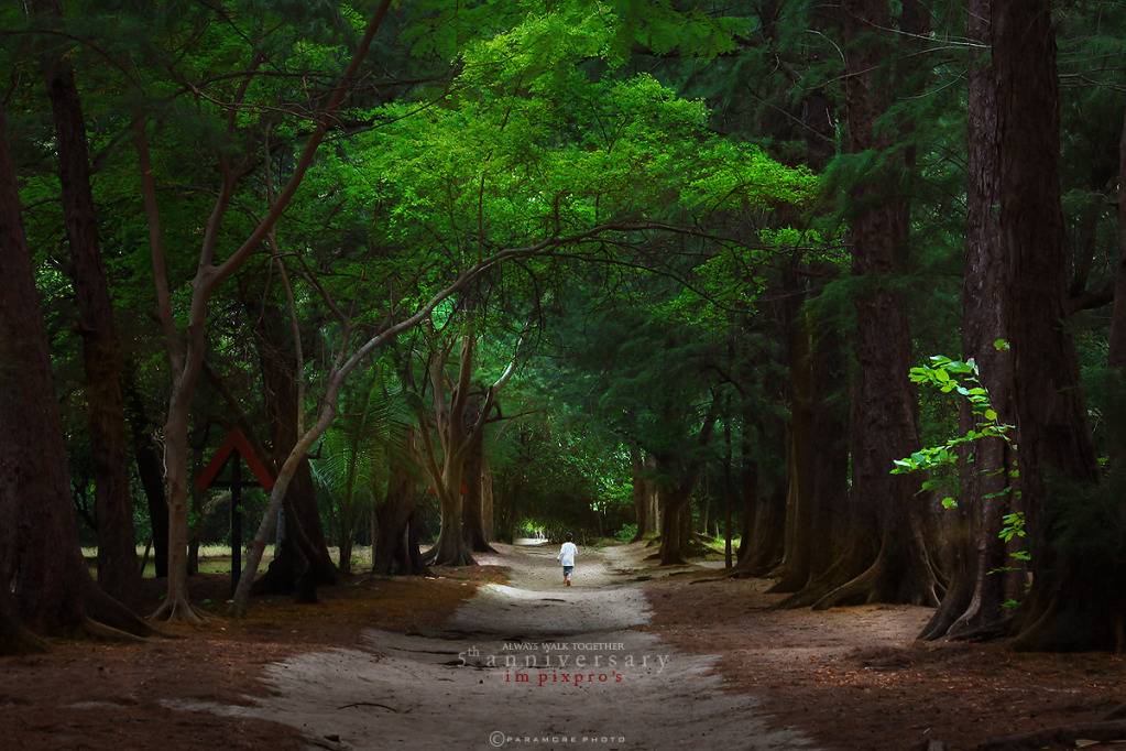 โลกนี้มีสิ่งสวยงามอีกเยอะ