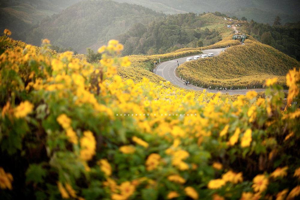 ภาพสวย อลังการงานถ่าย