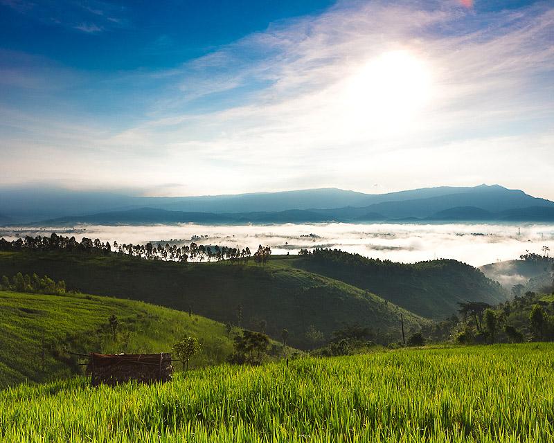 ทุ่งนา บนดอยสูง สวยๆๆ
