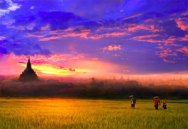 ชอบทุ่งนา สบายตา ทุกทีที่ได้มอง