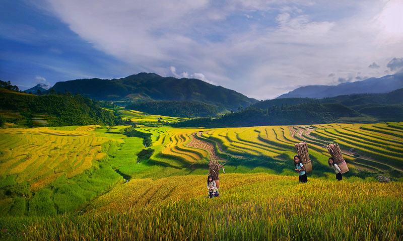 ชอบทุ่งนา สบายตา ทุกทีที่ได้มอง