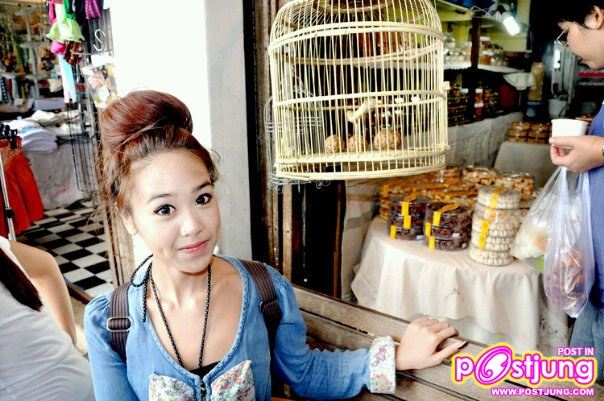 ต้นปาล์มเน็ตไอดอล กับพี่เบลล์แฟนต้นปาล์ม