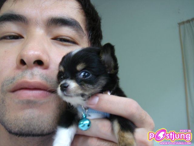 (คอปเตอร์) ก้าวแรกบนเส้นทางศิลปินกับงานเพลง SINGLE แรก "อยากจะรู้"