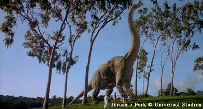 เที่ยว Jurassic park กันค่ะ