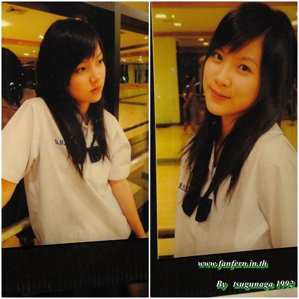 ใบเฟร์น