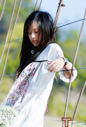 ใบเฟร์น