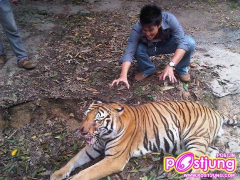 (เก็บตก) ละคร อุบัติรักเกาะสวรรค์