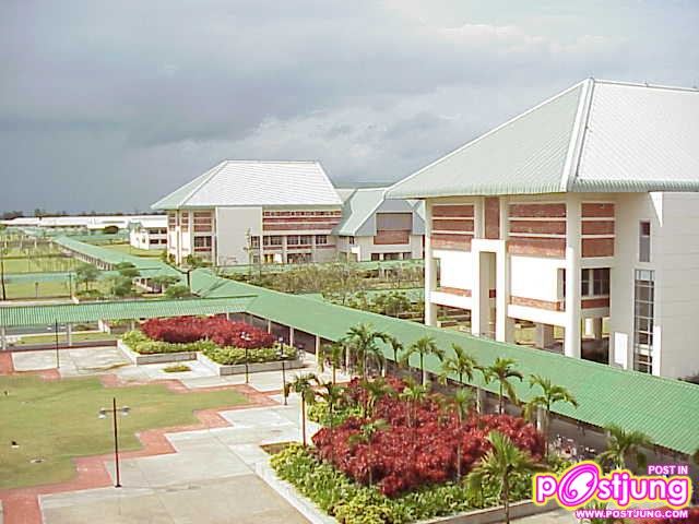 มหาวิทยาลัยวลัยลักษณ์