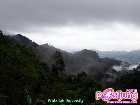 ทะเลหมอก