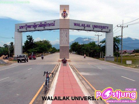 มหาวิทยาลัยวลัยลักษณ์