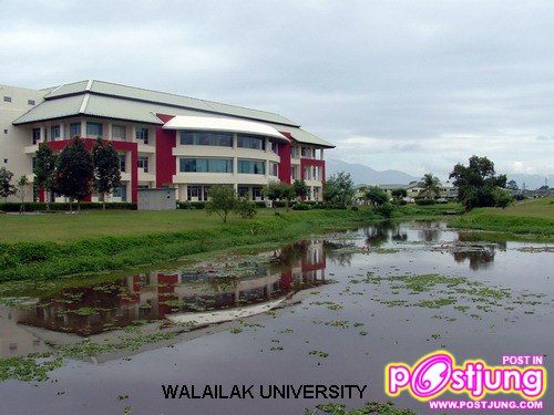 มหาวิทยาลัยวลัยลักษณ์