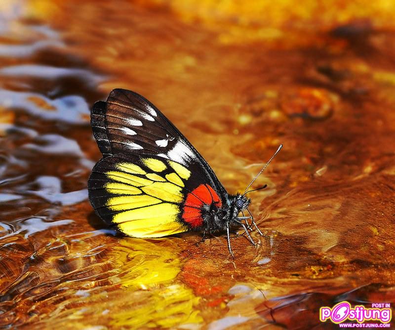 ภาพสวย อลังการ งานถ่าย