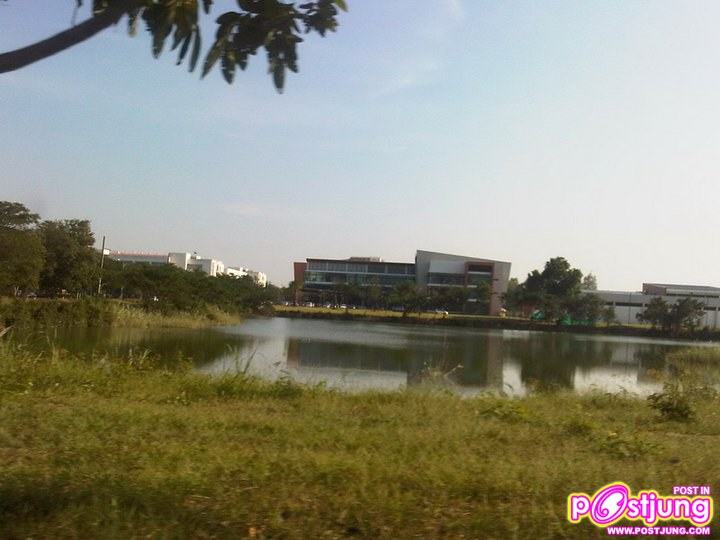 Naresuan university