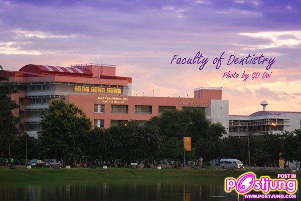 Naresuan university