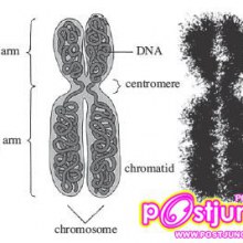 ใกล้จะ GAT PAT กันแล้วนะคะ พรุ่งนี้ก็ ONET