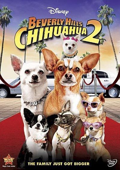 Beverly Hills Chihuahua 2 มาแล้วจ้า (จำหน่าย 20 มค) มี เวป หนัง เรือง  น้อง หมาชิวาว่าพูดได้ที่ใครๆเก็หลงรักกลับมาแล้วในภาค 2 ที่ขนความสนุกสนานมาให้ทั้งครอบครัว  ความวุ่นวายของลูกหมาตัวน้อยทำให้พ่อแม่ชิวาว่าสมรสใหม่อย่าง ปาปี้กับโคลอี้ ต้องปั่นป่วน  เมื่อบรรดาลูกๆเที่ซนยิ่งกว่าลิงคือเงานท้าทายไม่รู้จักจบสิ้นสำหรับพ่อแม่ เช่นพวกเขา  แต่เมื่อเจ้าของที่เป็นมนุษย์ต้องเจอปัญหาหนักอก เหล่าชิวาว่าตัวจ้อยต้องขอหยุดซนเพื่อช่วยเหลือเจ้านายของพวกเขา  นั่นเพราะว่าไม่ว่ายามสุขหรือยามทุกข์ยาก ครอบครัวต้องมาที่หนึ่งเสมอ ว่าแล้วปาปี้ ,  โคลอี้ ,   และ.ลูกๆเจึงกระโจนสี่ขาเล็กๆเสู่การผจญภัยที่พิสูจน์ว่าฮีโร่ผู้ยิ่งใหญ่ มาในรูปของน้องหมาไซส์เหมาะมื
