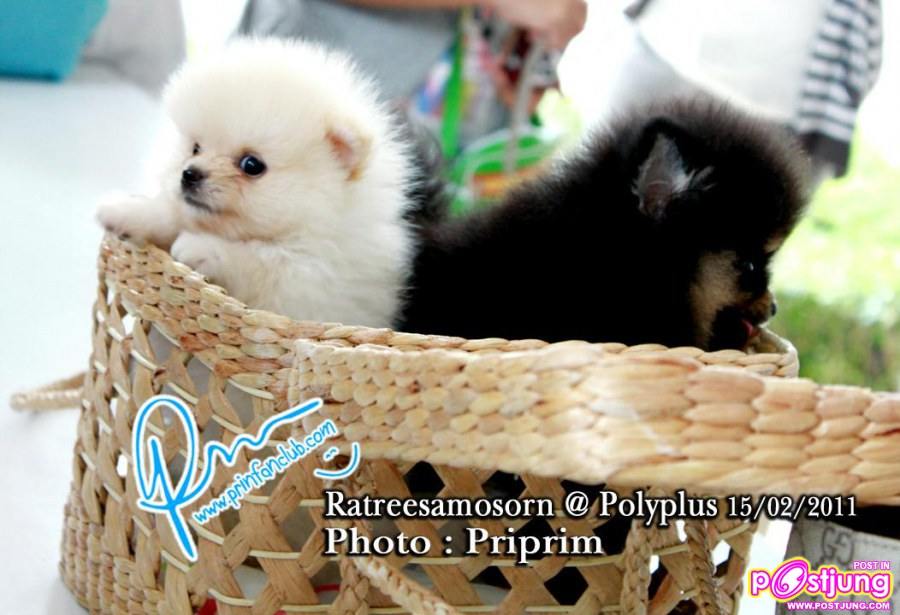 หมาก เก้า อเล็กซ์ @รายการราตรีสโมสร