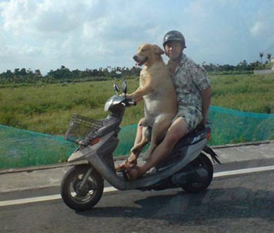 สัตว์โลก..น่ารัก???