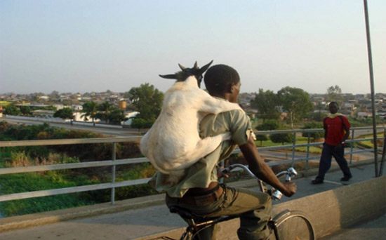 สัตว์โลก..น่ารัก???