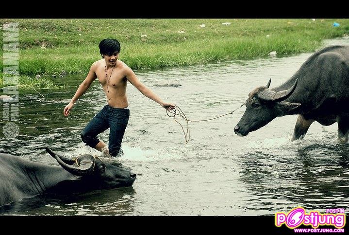 Photoshoot men album 174