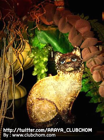 ชมพู่ อารยา จากทวิตเตอร์น่ารักมากจริงๆ