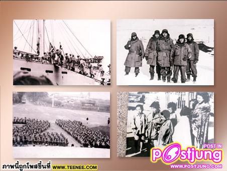 วีรกรรมกองพันทหารไทย ณ สมรภูมิ พ็อคช็อป ฮิลล์ ในสงครามเกาหลี