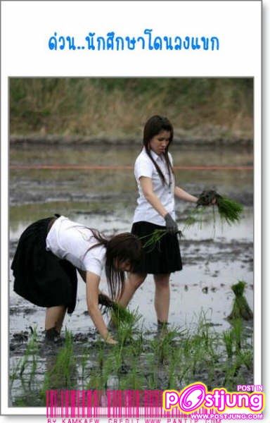 แอบถ่ายใต้ประโปรง งานมอเตอร์โชว์ !!!!