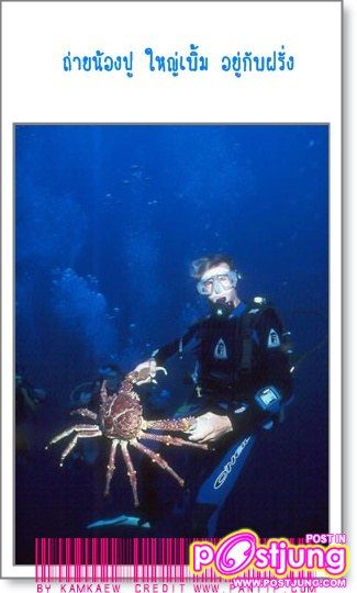 แอบถ่ายใต้ประโปรง งานมอเตอร์โชว์ !!!!