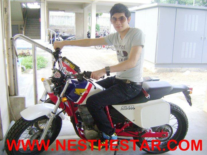 เนส The Star 7