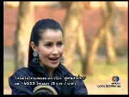 ปิ๊งๆ