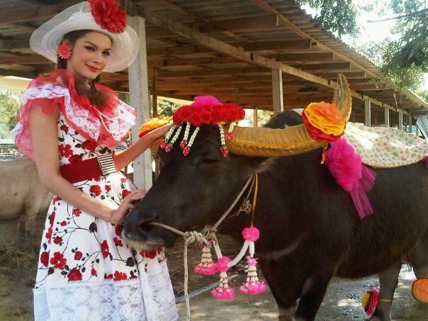 แจ๊สสสสส  ไอดอล ของใครหลายๆคน