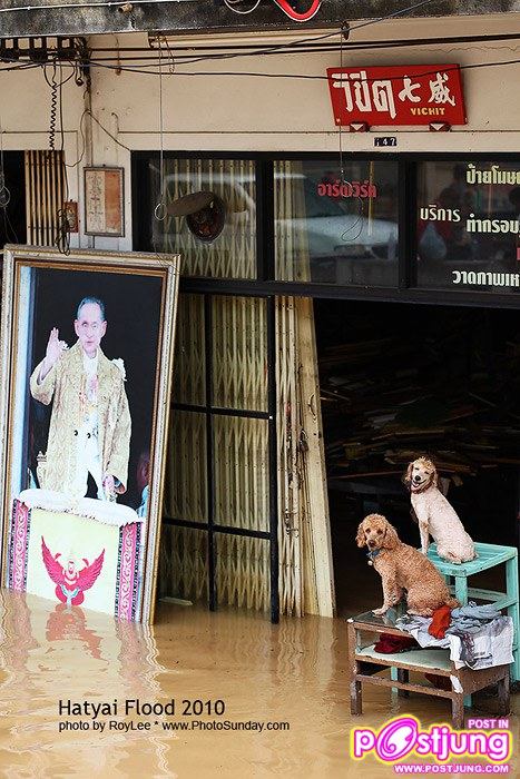 ภาพน้ำท่วมเมืองหาดใหญ่