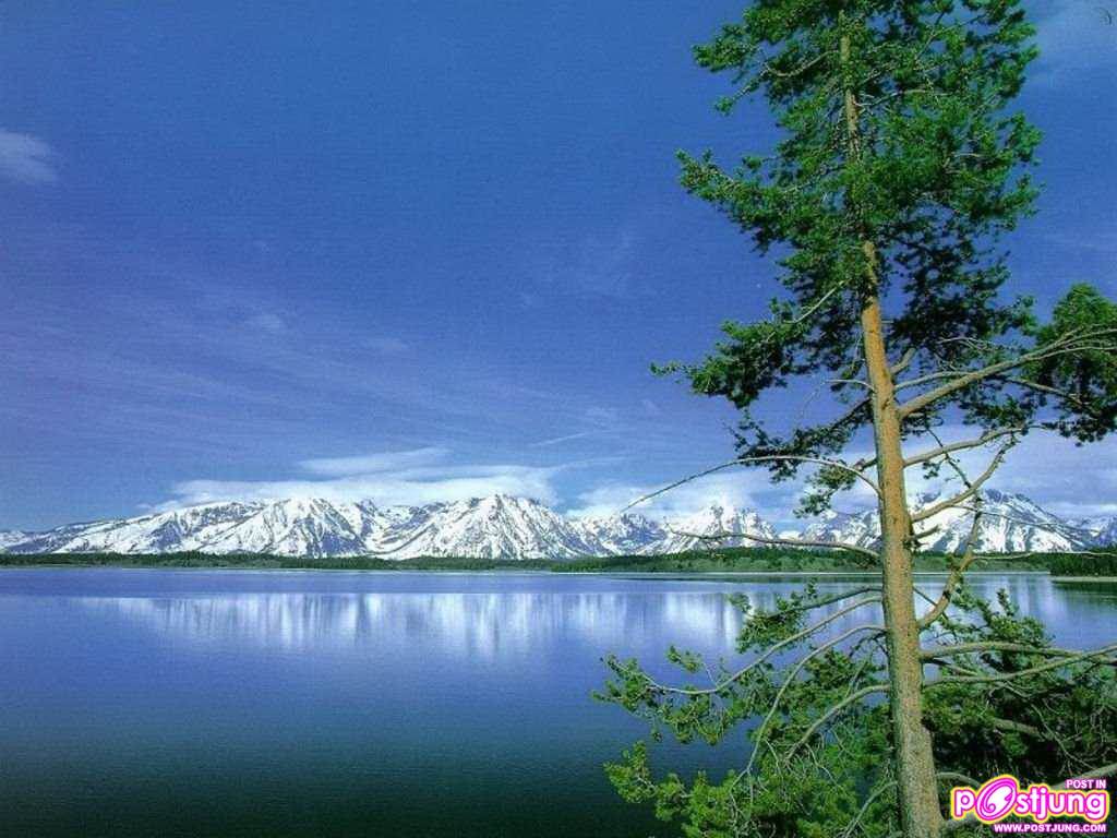 พักสายตากับภาพสวยๆกันค่ะ
