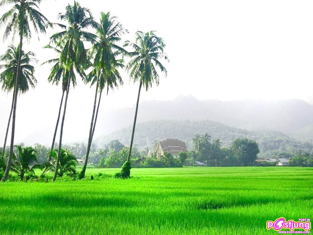 พักสายตากับภาพสวยๆกันค่ะ