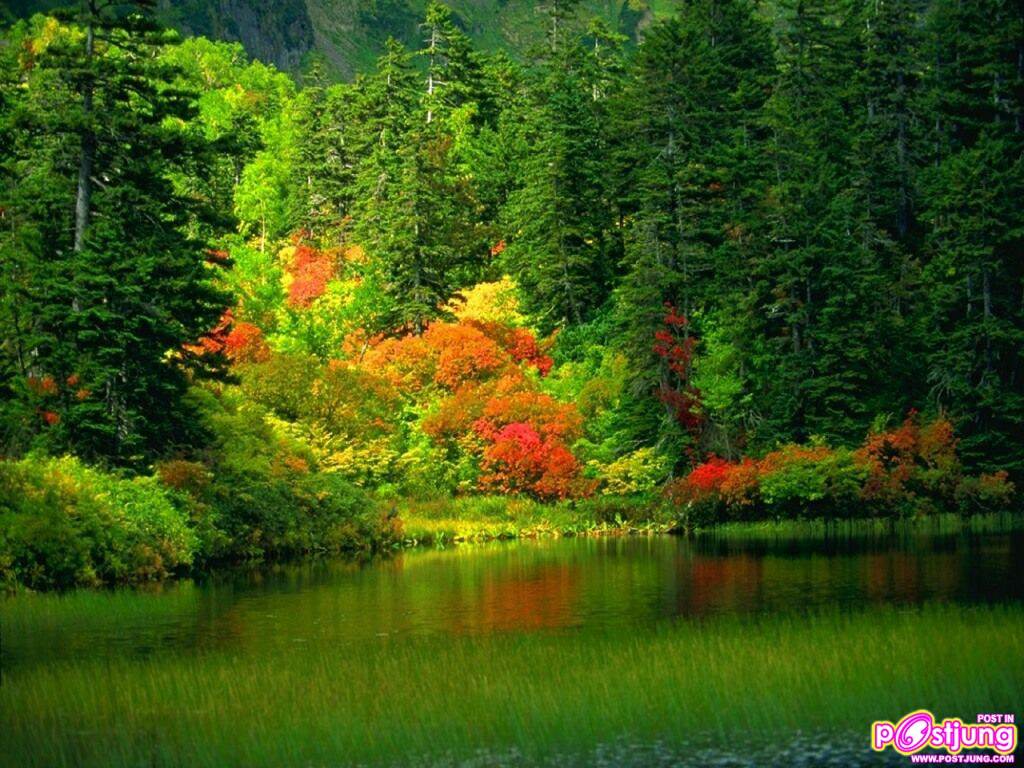 พักสายตากับภาพสวยๆกันค่ะ