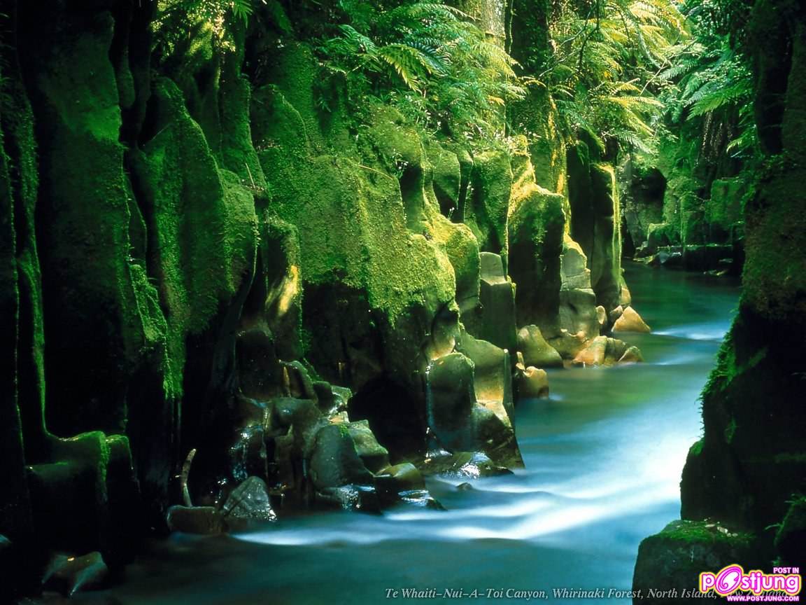 พักสายตากับภาพสวยๆกันค่ะ