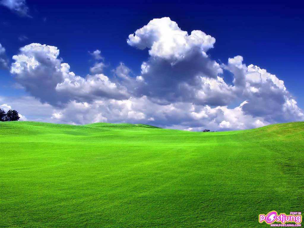 พักสายตากับภาพสวยๆกันค่ะ