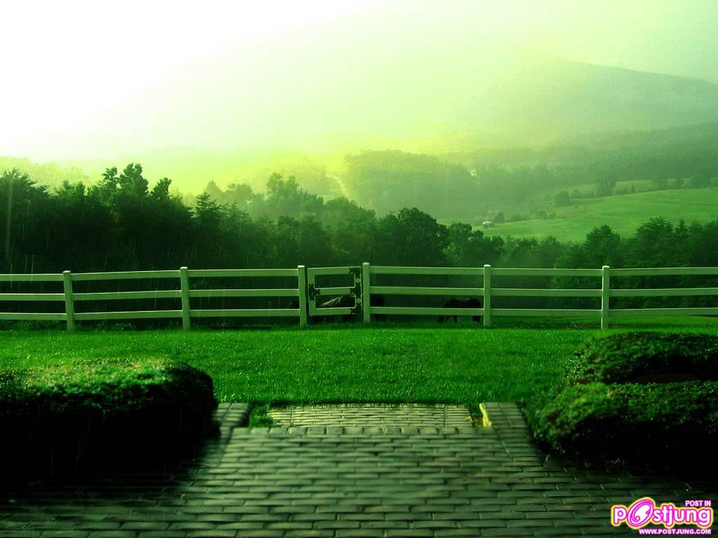 พักสายตากับภาพสวยๆกันค่ะ
