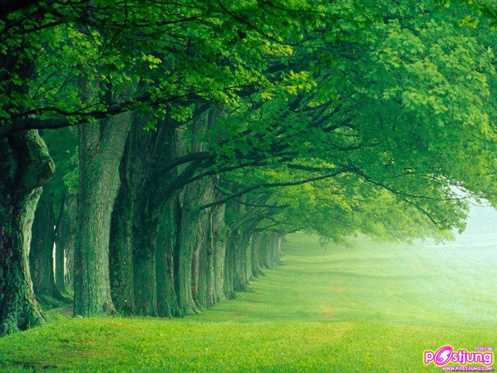 พักสายตากับภาพสวยๆกันค่ะ