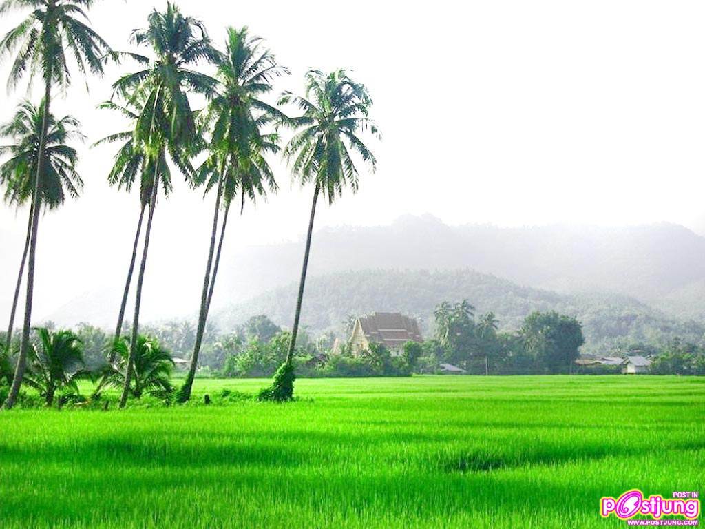 พักสายตากับภาพสวยๆกันค่ะ
