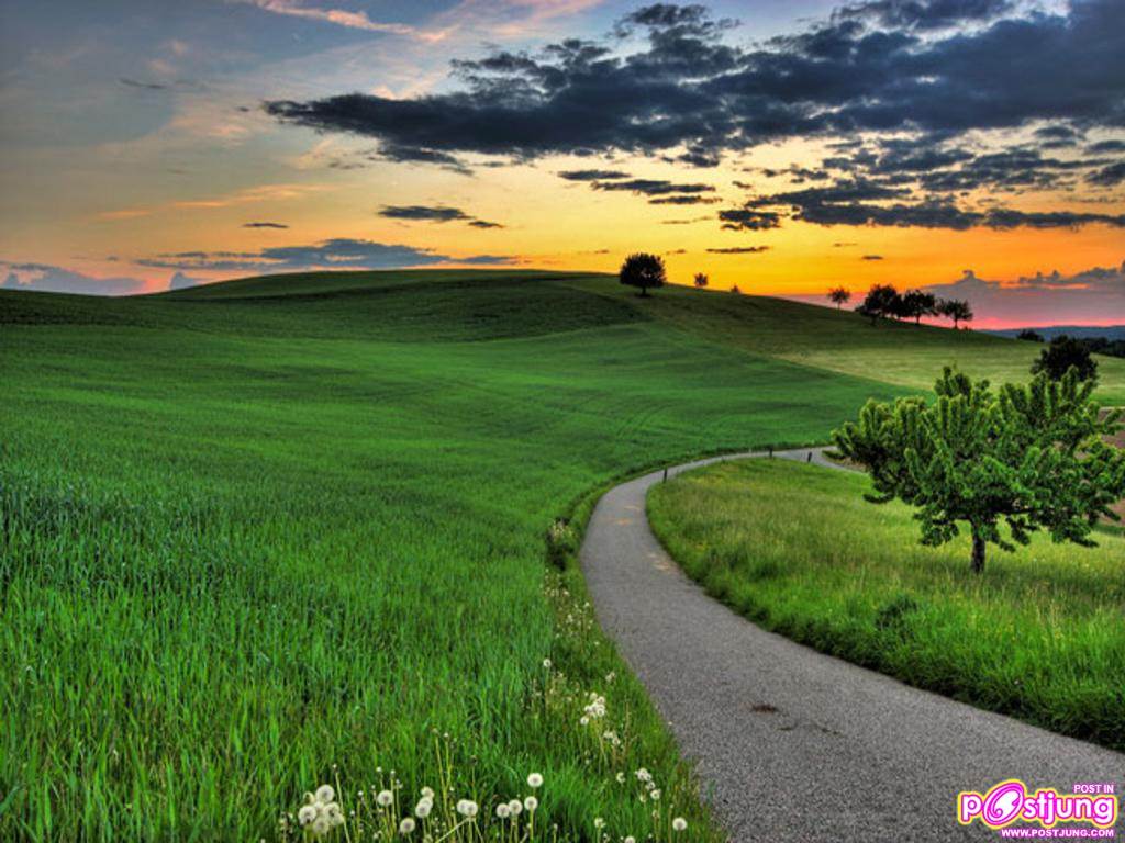 พักสายตากับภาพสวยๆกันค่ะ