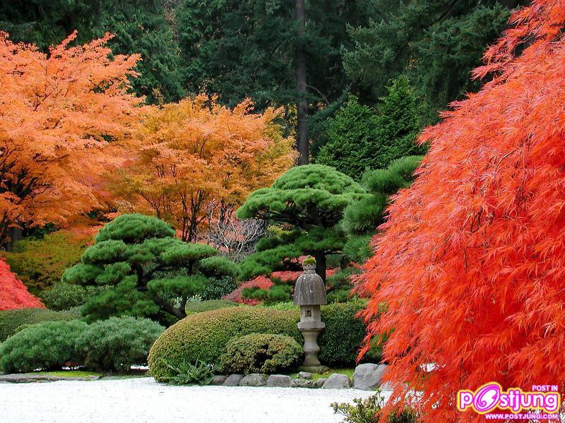 พักสายตากับภาพสวยๆกันค่ะ