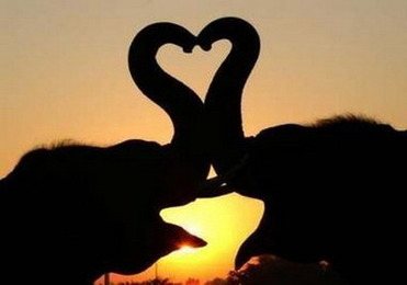 love love รักกัน รักกัน
