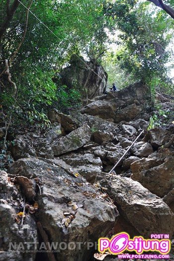 ทุ่งใหญ่นเรศวร