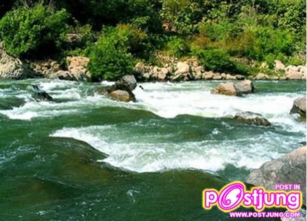 ทุ่งใหญ่นเรศวร