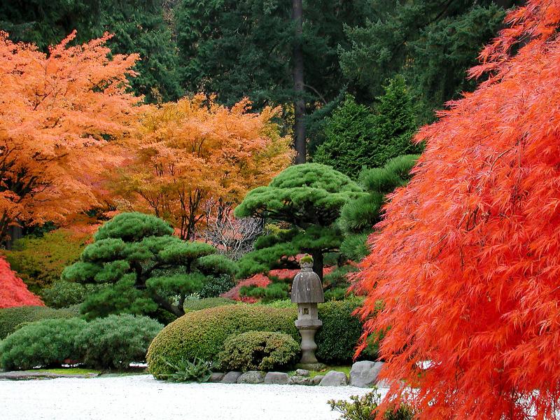 พักสายตากับภาพสวย again