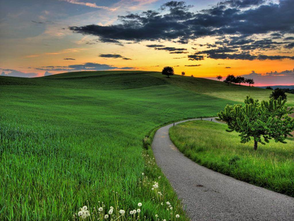 พักสายตากับภาพสวย again