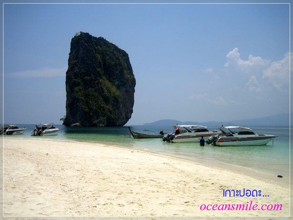 เกาะปอ